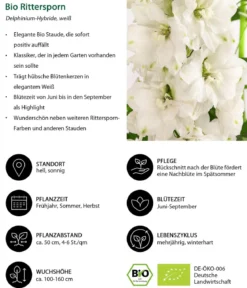 Bio Rittersporn, weiß