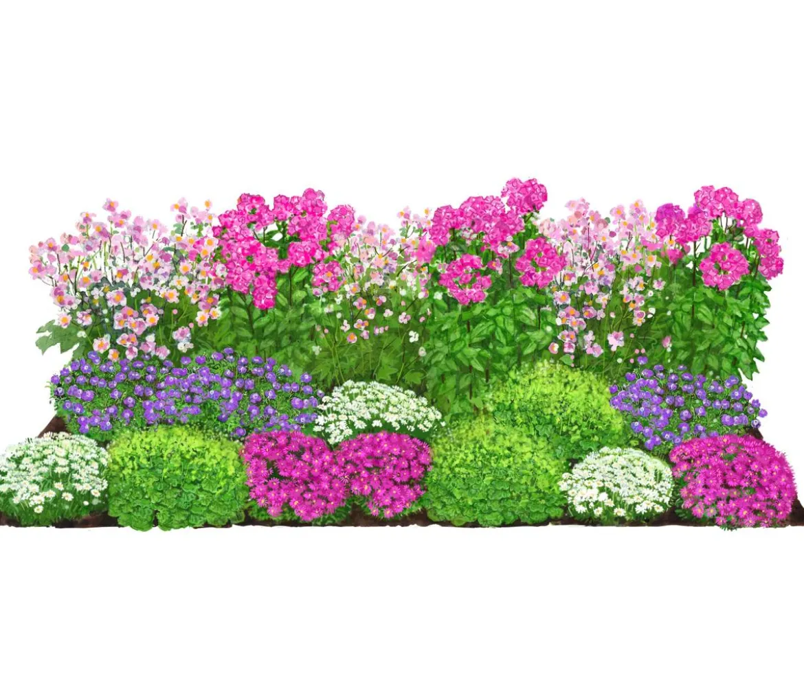 Bio Stauden-Set Alte Liebe, Landlust Kollektion, 18-teilig