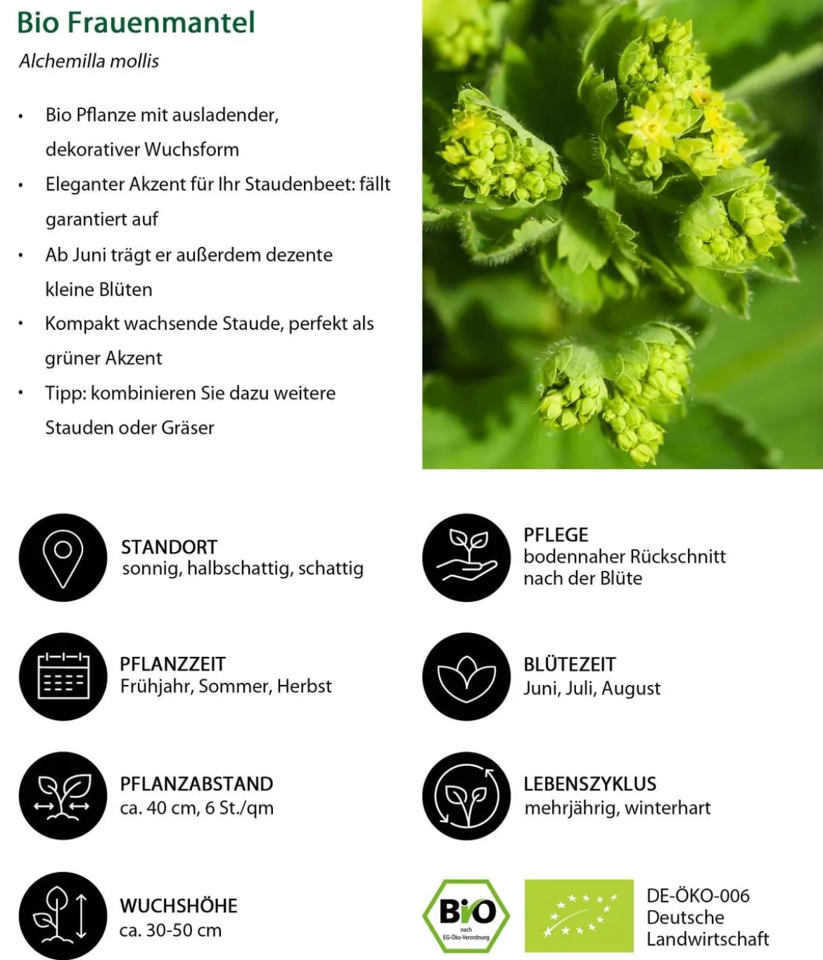 Bio Stauden-Set Alte Liebe, Landlust Kollektion, 18-teilig