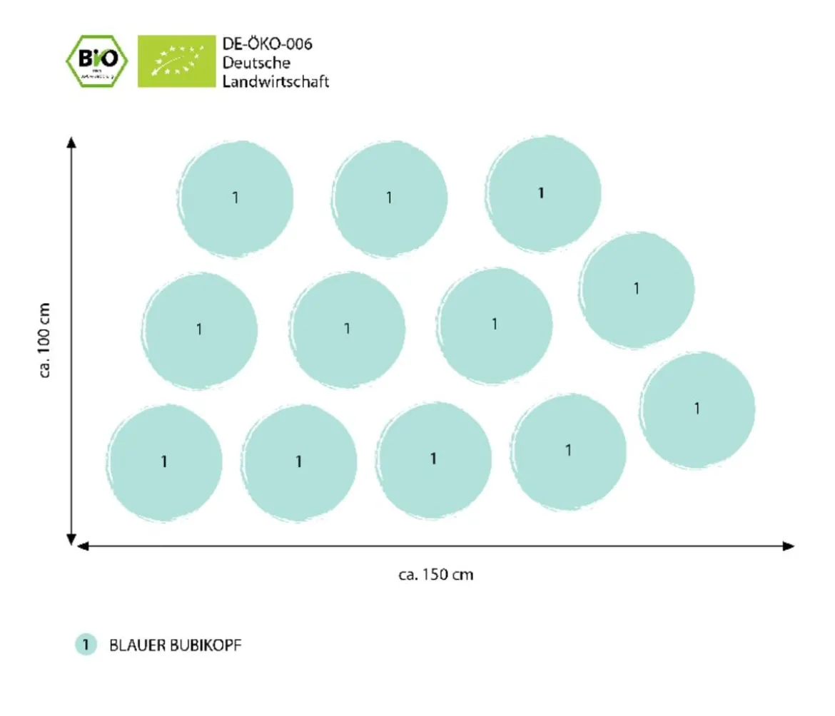 Bio Stauden-Set Blaues Meer, 12-teilig