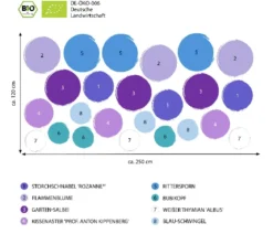 Bio Stauden-Set Blaue Stunde, Landlust Kollektion, 24-teilig
