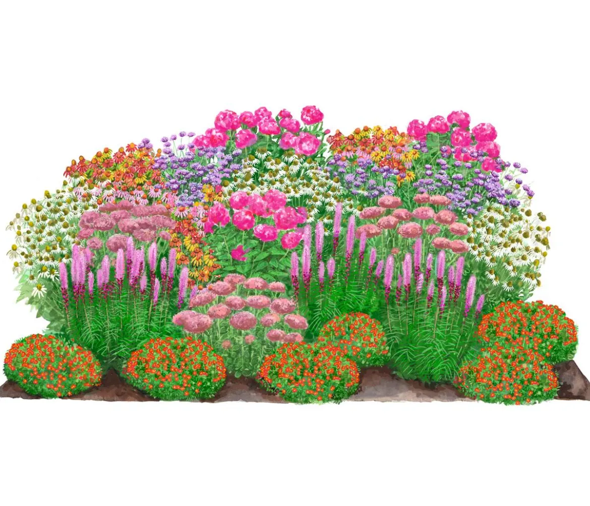 Bio Stauden-Set Blütenkollektion, Landlust Kollektion, 24-teilig