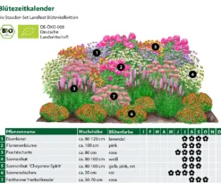 Bio Stauden-Set Blütenkollektion, Landlust Kollektion, 24-teilig