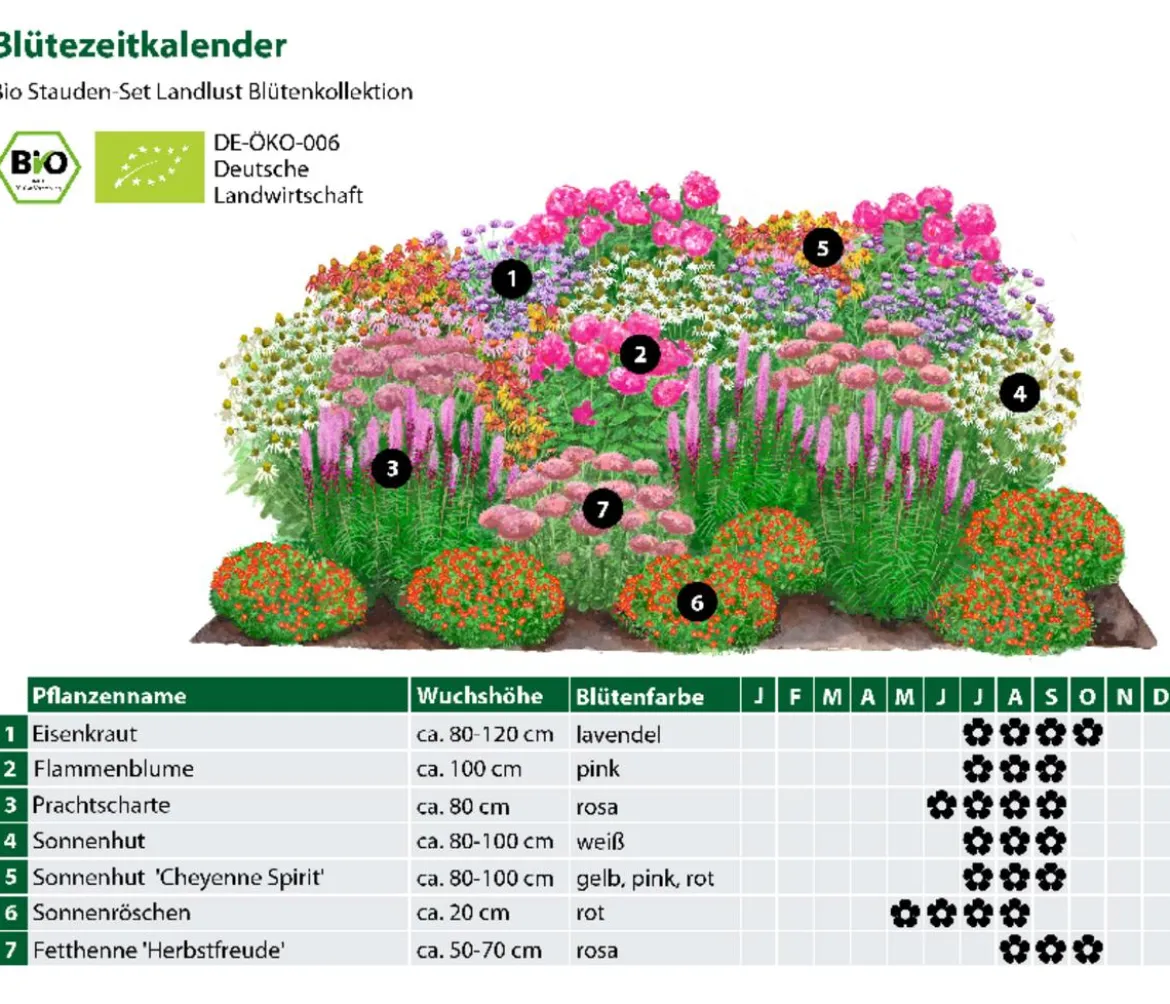 Bio Stauden-Set Blütenkollektion, Landlust Kollektion, 24-teilig