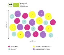 Bio Stauden-Set Bodendecker Patchwork, 24-teilig