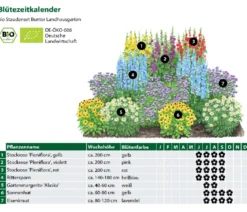 Bio Stauden-Set Bunter Landhausgarten, 12-teilig
