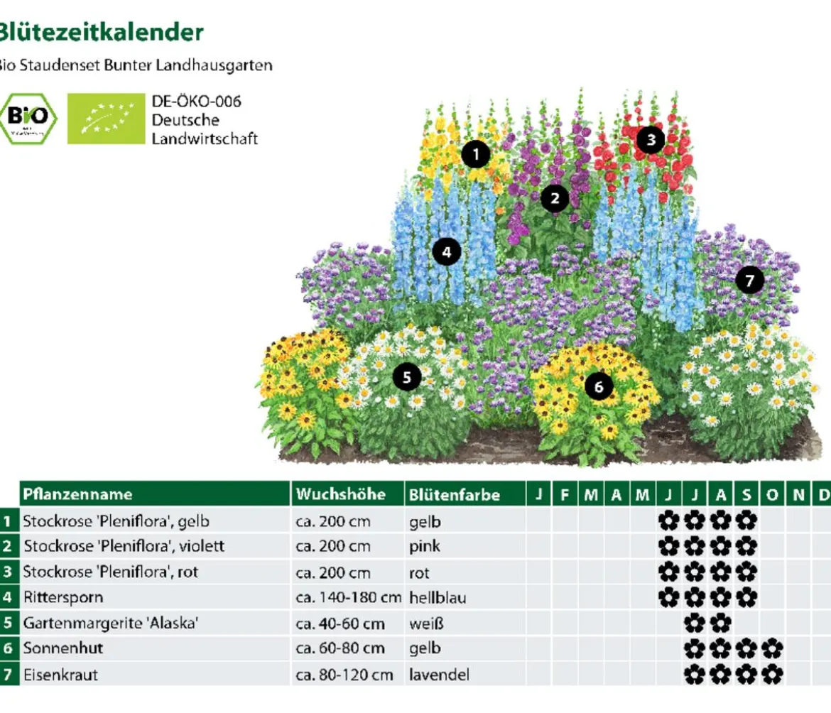 Bio Stauden-Set Bunter Landhausgarten, 12-teilig
