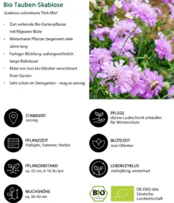 Bio Stauden-Set Einsteiger-Blütenmix, 24-teilig