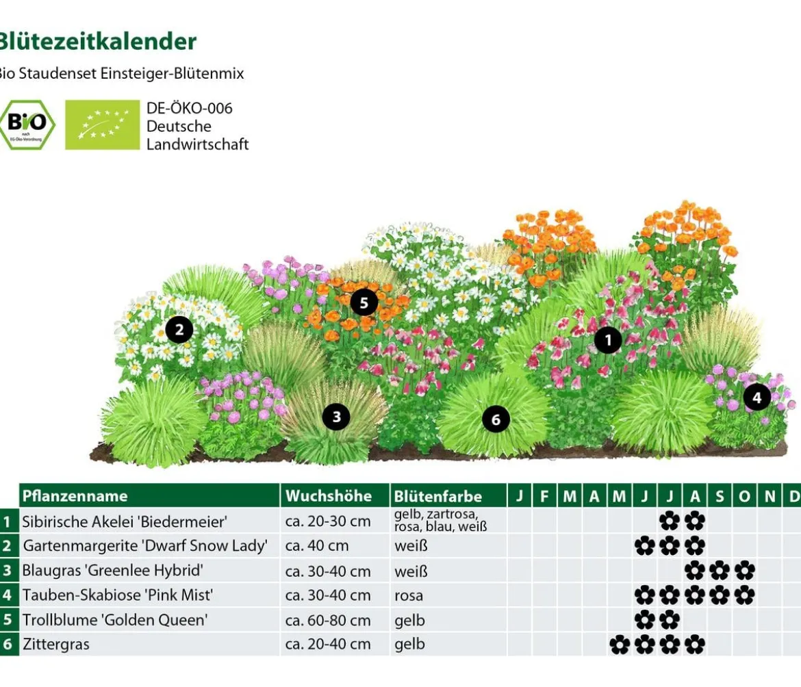 Bio Stauden-Set Einsteiger-Blütenmix, 24-teilig