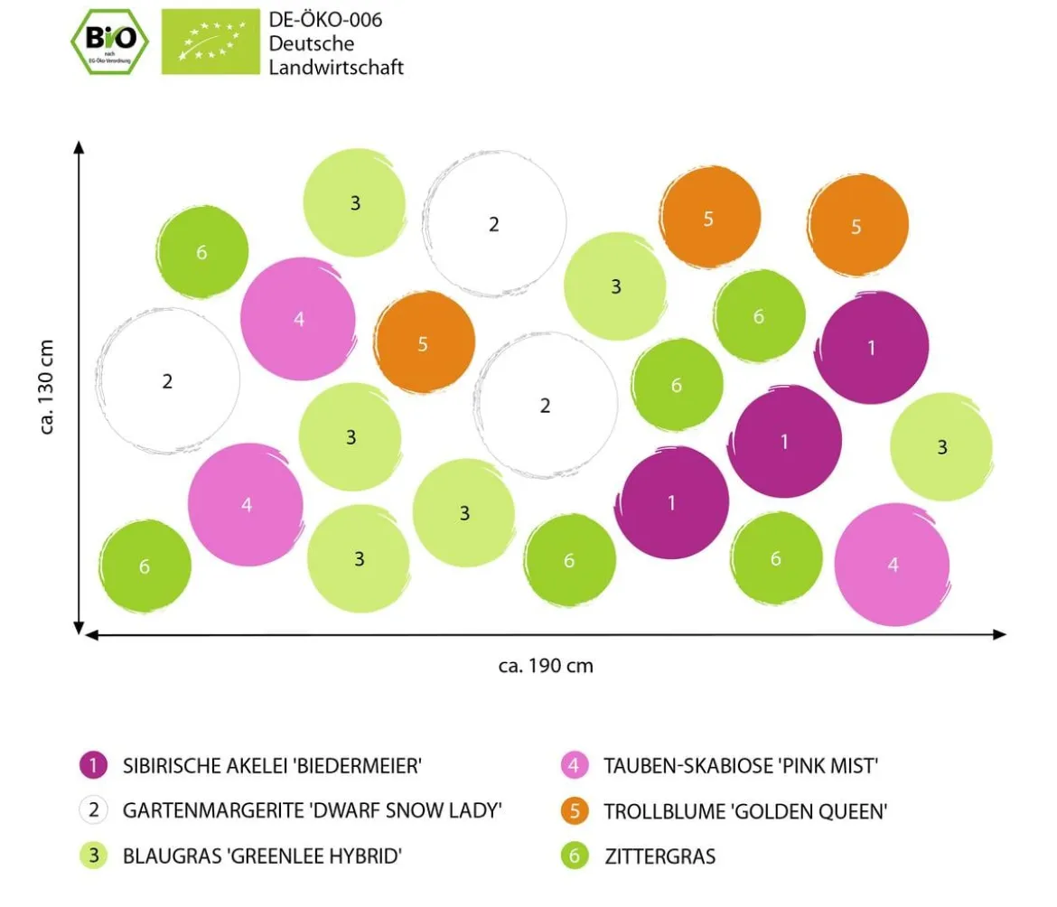 Bio Stauden-Set Einsteiger-Blütenmix, 24-teilig