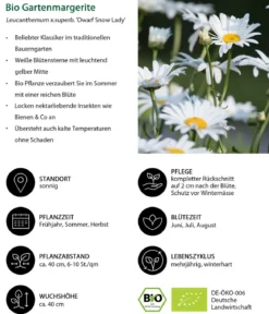 Bio Stauden-Set Einsteiger-Blütenmix, 24-teilig