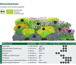 Bio Stauden-Set Es wird durchgeblüht, 24-teilig
