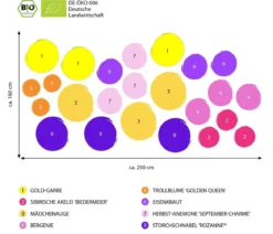 Bio Stauden-Set Es wird durchgeblüht, 24-teilig