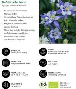 Bio Stauden-Set Es wird durchgeblüht, 24-teilig