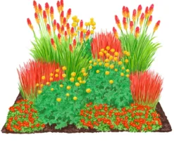 Bio Stauden-Set Feuerwerk im Garten, Landlust Kollektion, 12-teilig