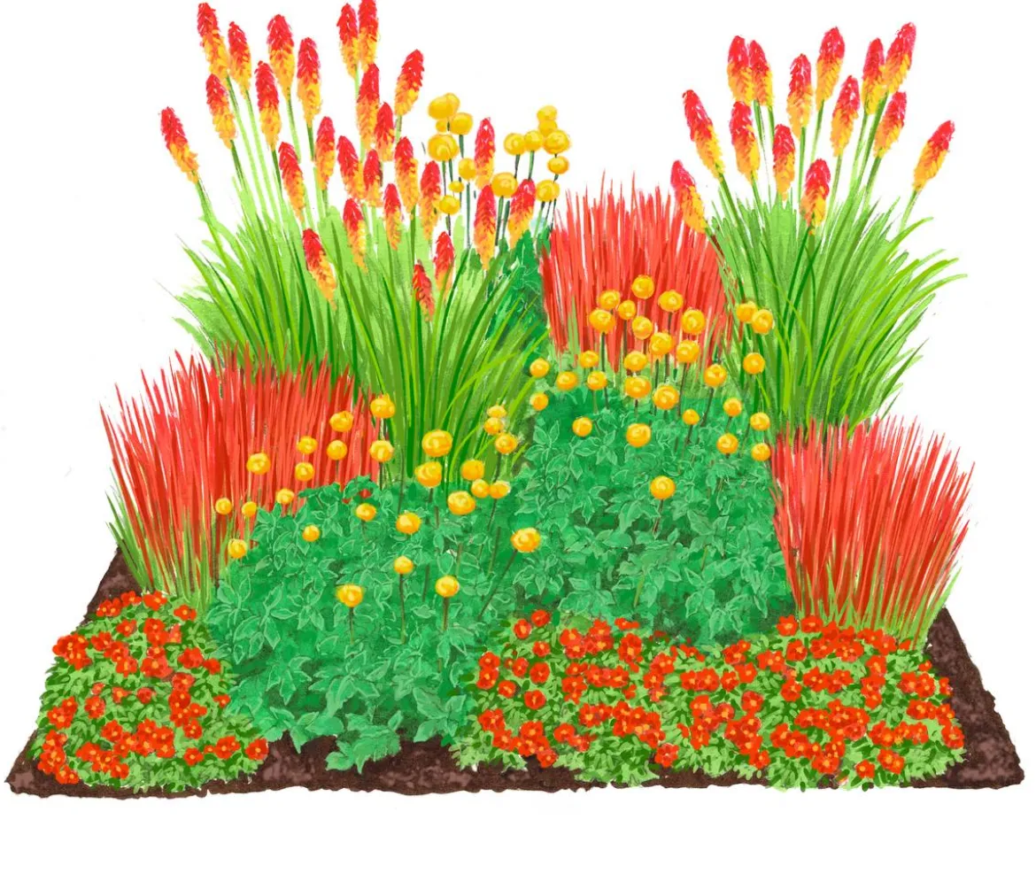 Bio Stauden-Set Feuerwerk im Garten, Landlust Kollektion, 12-teilig