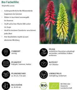 Bio Stauden-Set Feuerwerk im Garten, Landlust Kollektion, 12-teilig
