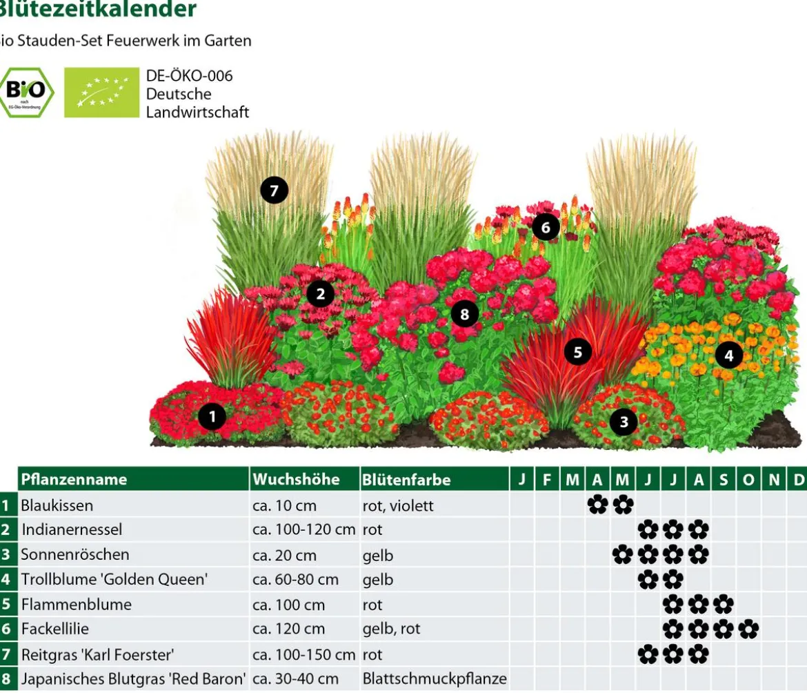 Bio Stauden-Set Feuerwerk im Garten, 24-teilig