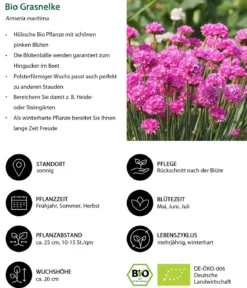 Bio Stauden-Set Großer Alpengarten, 24-teilig