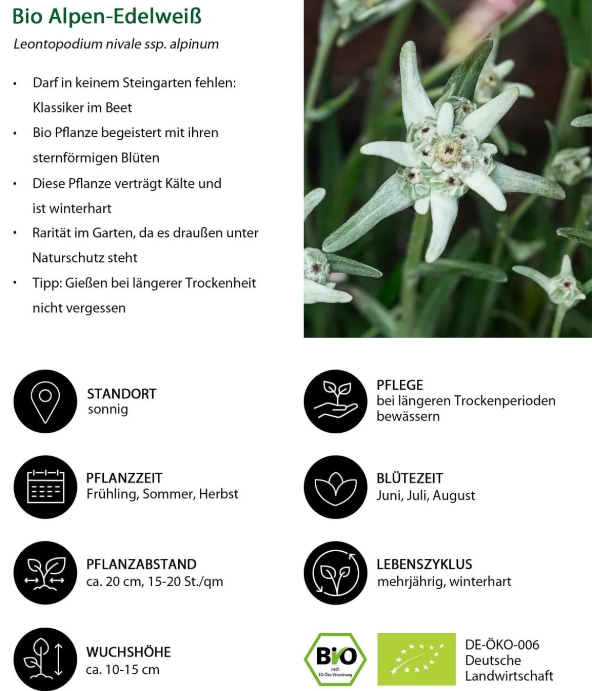 Bio Stauden-Set Großer Alpengarten, 24-teilig