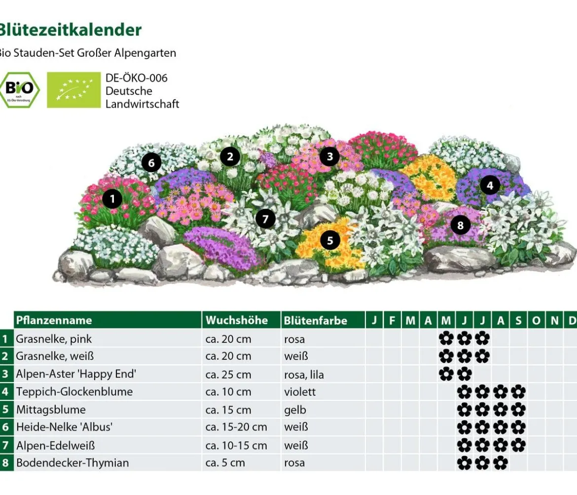 Bio Stauden-Set Großer Alpengarten, 24-teilig