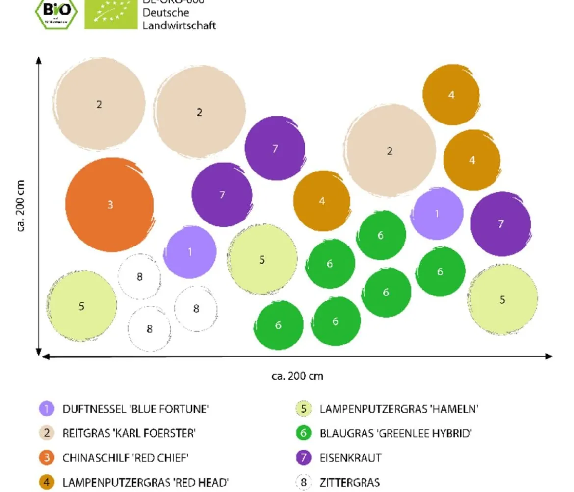 Bio Stauden-Set Großes Gräser-Beet, 24-teilig