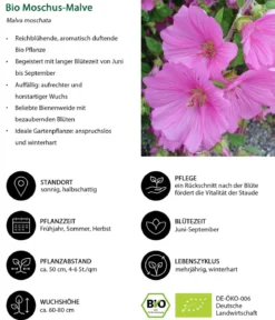Bio Stauden-Set Heimatgarten, Landlust Kollektion, 24-teilig