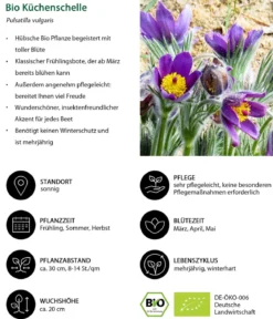 Bio Stauden-Set Heimatgarten, Landlust Kollektion, 24-teilig