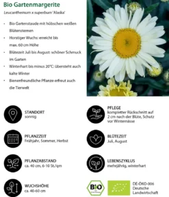 Bio Stauden-Set Landhausgarten, 12-teilig