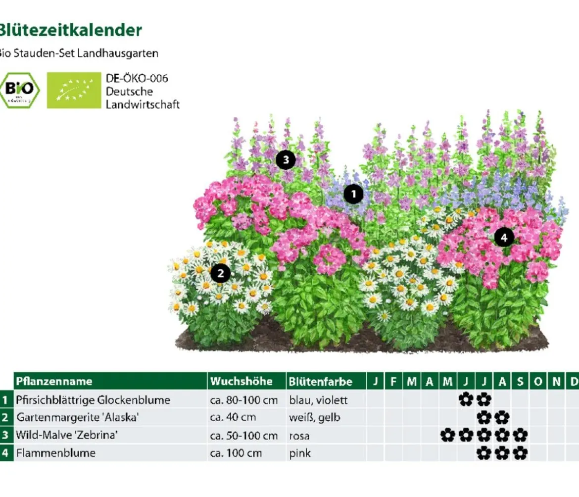 Bio Stauden-Set Landhausgarten, 12-teilig