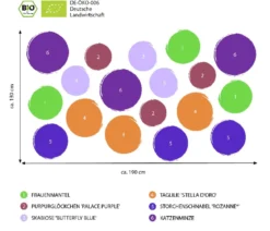 Bio Stauden-Set Lange Blüte, Landlust Kollektion, 18-teilig