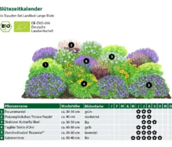 Bio Stauden-Set Lange Blüte, Landlust Kollektion, 18-teilig