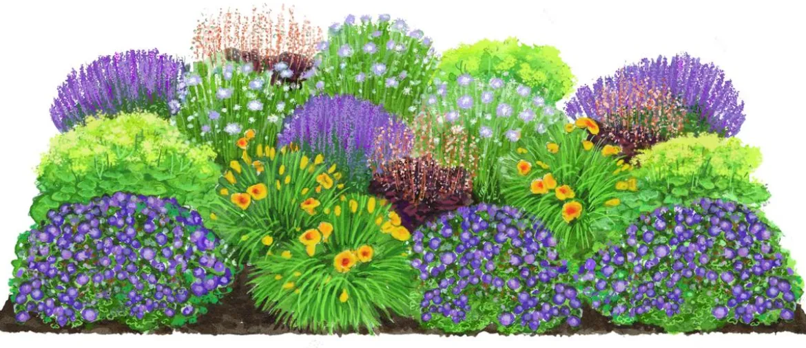 Bio Stauden-Set Lange Blüte, Landlust Kollektion, 18-teilig