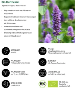 Bio Stauden-Set Romantischer Garten, 12-teilig