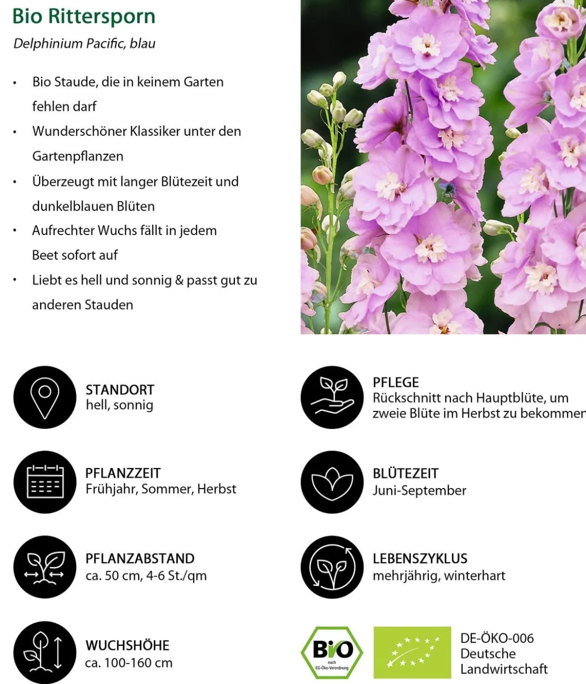 Bio Stauden-Set Romantischer Garten, 12-teilig