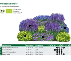 Bio Stauden-Set Rosenbegleiter, 12-teilig