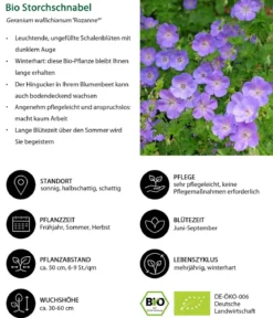 Bio Stauden-Set Rosenbegleiter, 12-teilig