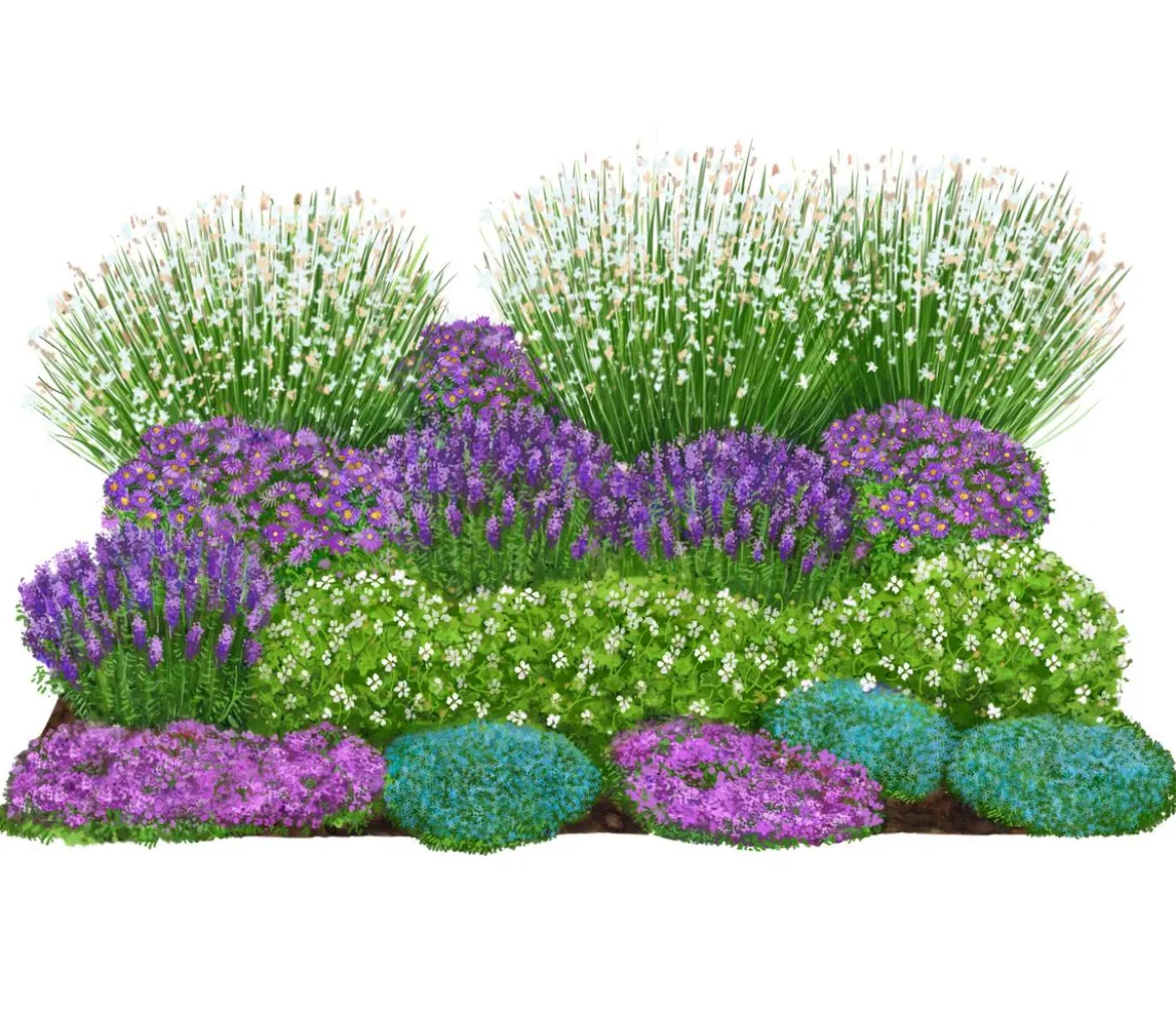 Bio Stauden-Set Rosenfreunde, Landlust Kollektion, 18-teilig
