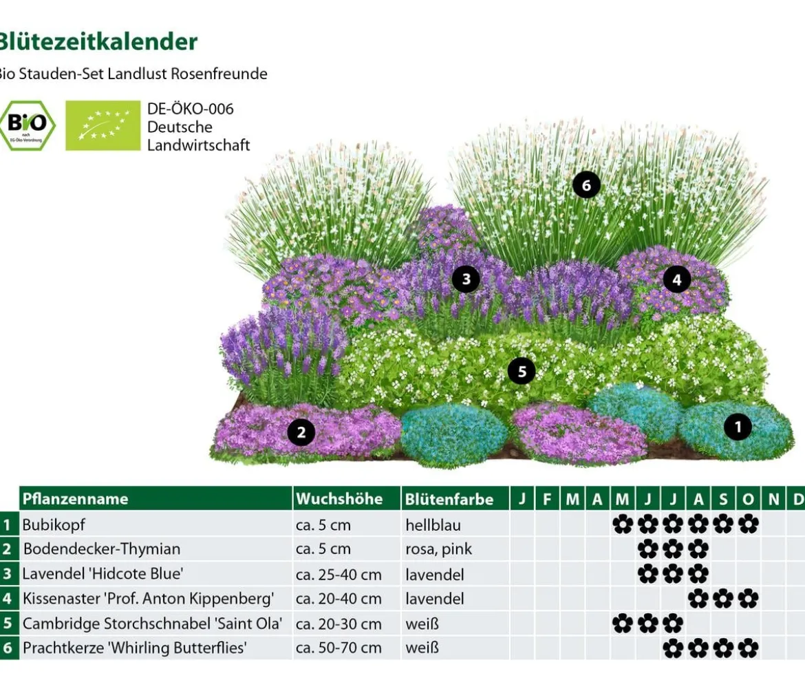 Bio Stauden-Set Rosenfreunde, Landlust Kollektion, 18-teilig