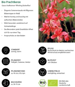 Bio Stauden-Set Rosenfreunde, Landlust Kollektion, 18-teilig