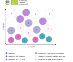 Bio Stauden-Set Rosenfreunde, Landlust Kollektion, 18-teilig