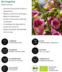 Bio Stauden-Set Schattengarten Rote Akzente, 12-teilig