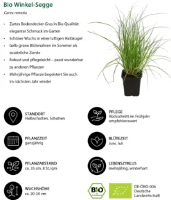 Bio Stauden-Set Schattengarten, 12-teilig
