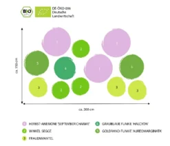 Bio Stauden-Set Schattengarten, 12-teilig