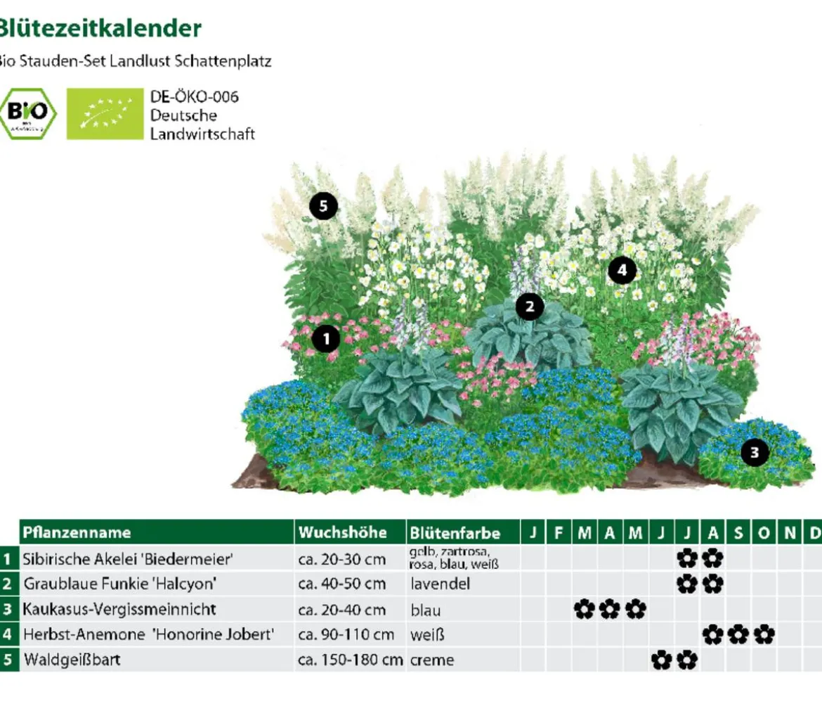 Bio Stauden-Set Schattenplatz, Landlust Kollektion, 18-teilig