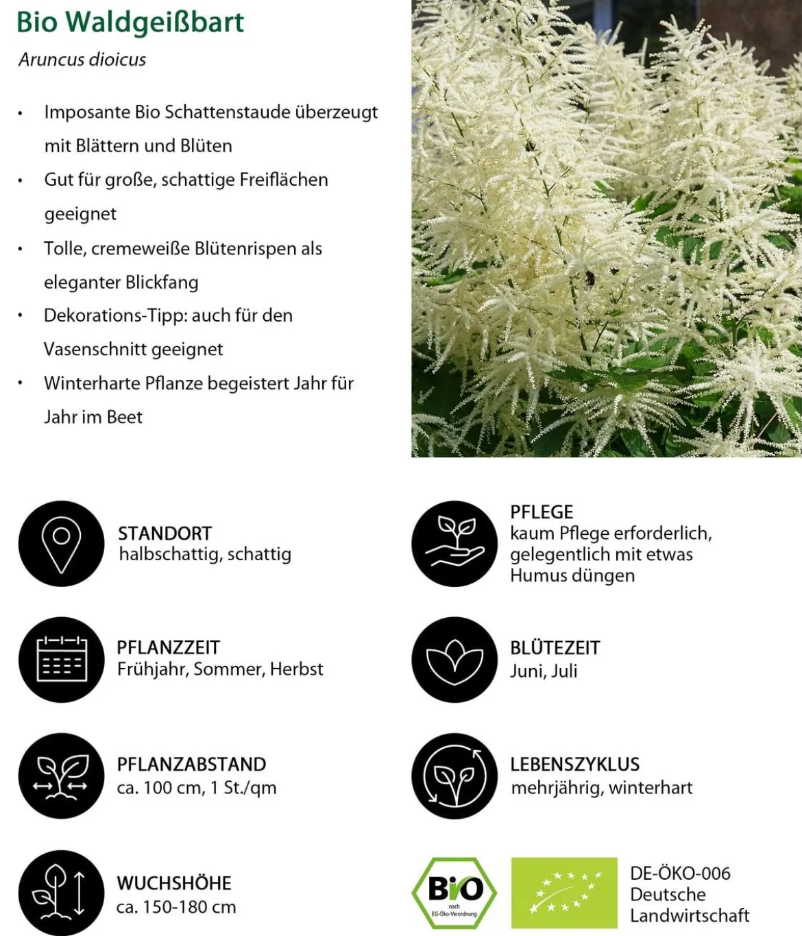 Bio Stauden-Set Schattenplatz, Landlust Kollektion, 18-teilig