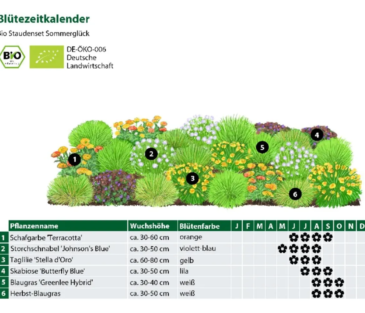 Bio Stauden-Set Sommerglück, 24-teilig