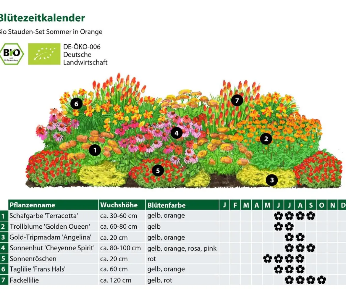 Bio Stauden-Set Sommer in Orange, 24-teilig