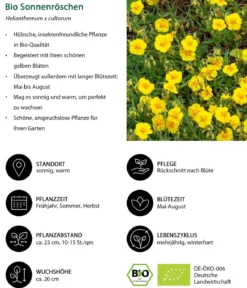 Bio Stauden-Set Sonnenanbeter, 12-teilig