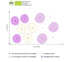 Bio Stauden-Set Sonnenteppich, 12-teilig